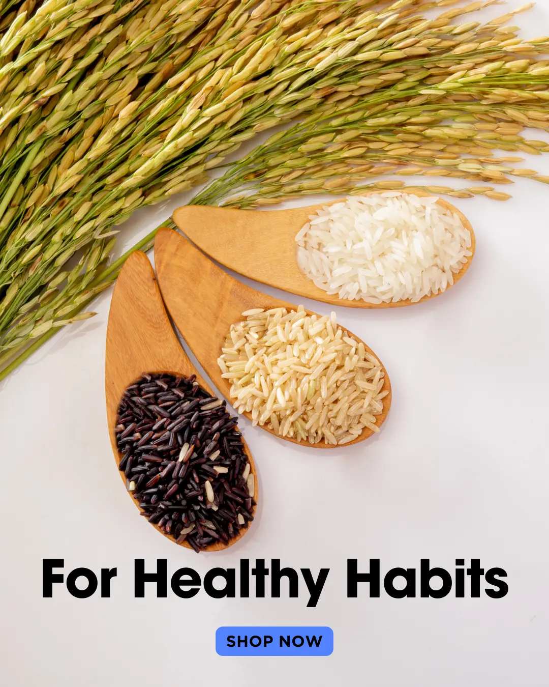 Healthy-Habits